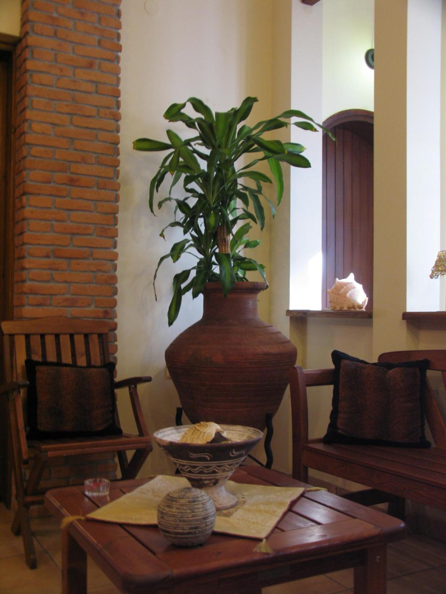 Katia Hotel Áfissos Dış mekan fotoğraf