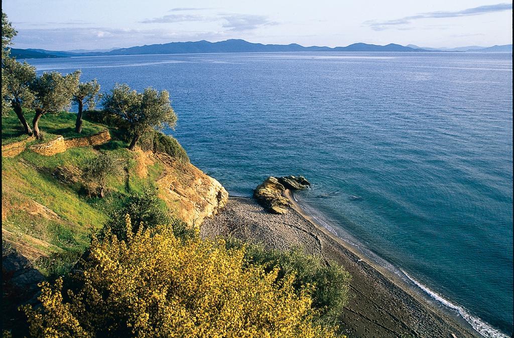 Katia Hotel Áfissos Dış mekan fotoğraf